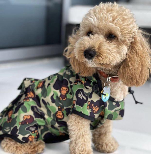 Dog bape jacket hotsell