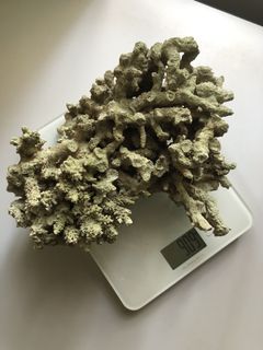 （分類：）位於 。 由 davidspanish 提交（商品編號 1108356767，圖片 1）。簡介： 。