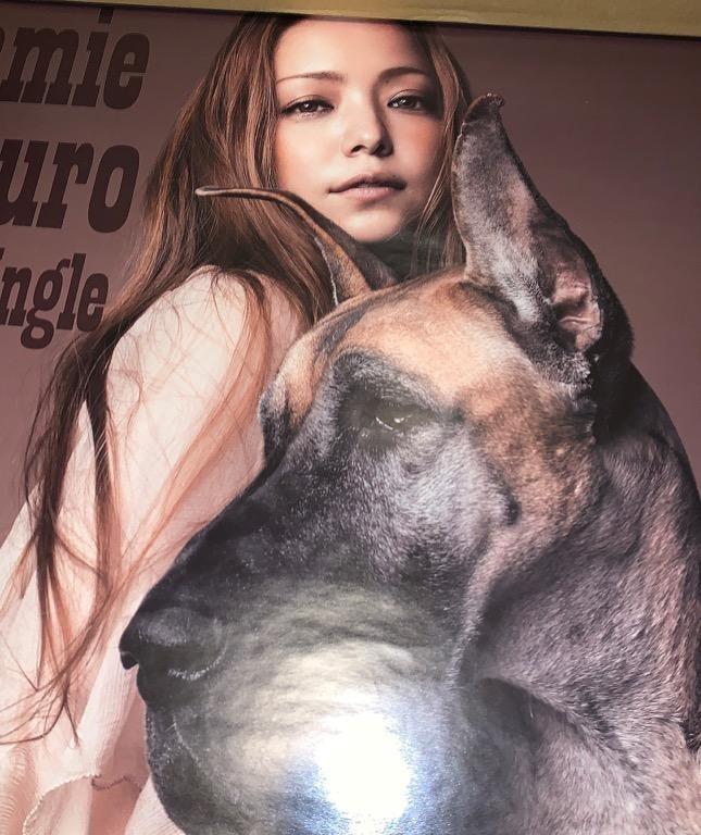 安室奈美惠「Sit! Stay! Wait! Down / Love Story」日本版Karaoke宣傳海報（安室奈美恵 NAMIE