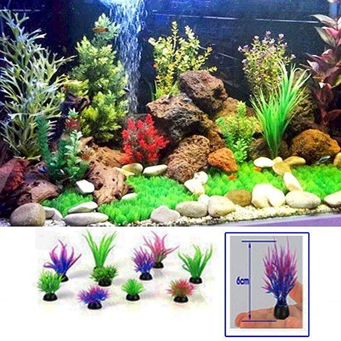 61 Jasa Dekorasi Aquarium Air Tawar Gratis