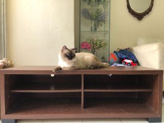(Category: ) located in . Submitted by qasdeenaz (Listing ID 1108345967, Image 1). Description: .