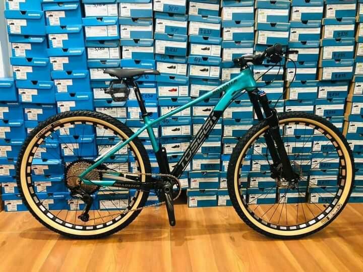Roadster bicycle price 2025
