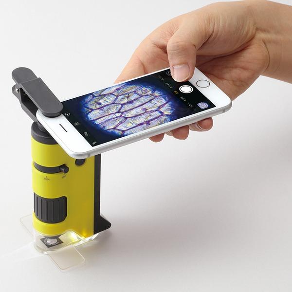 Microscopio Mobile Per Bambini, Schermo IPS Da 2,0 Pollici, Microscopio - 3
