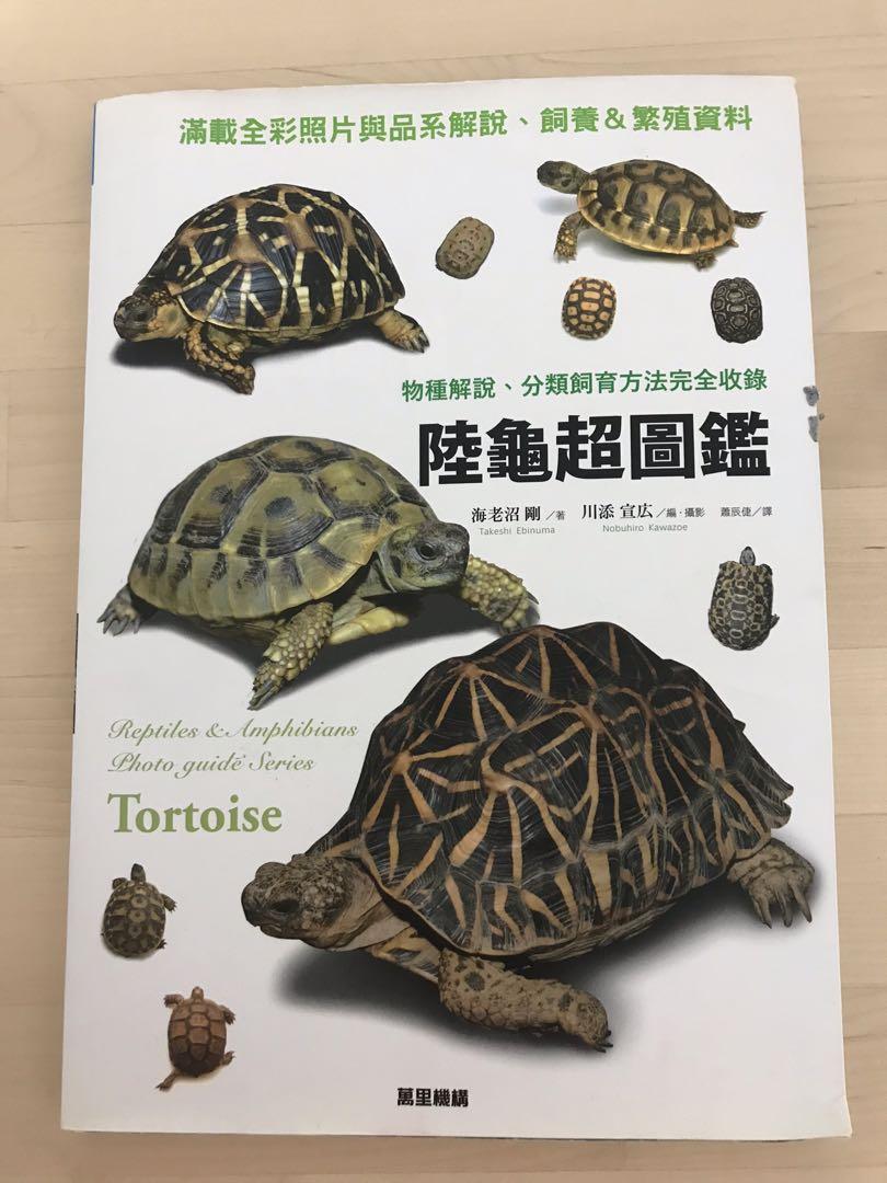 寵物陸龜超圖鑑天書陸龜金魚街 寵物用品 寵物家品及其他 Carousell