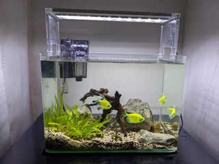 (Category: ) located in . Submitted by krclee12 (Listing ID 1108808659, Image 1). Description: .