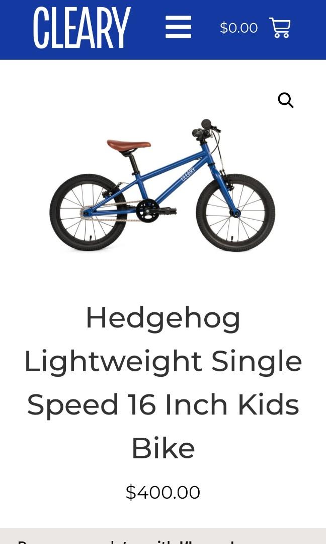 Cleary Hedgehog 16