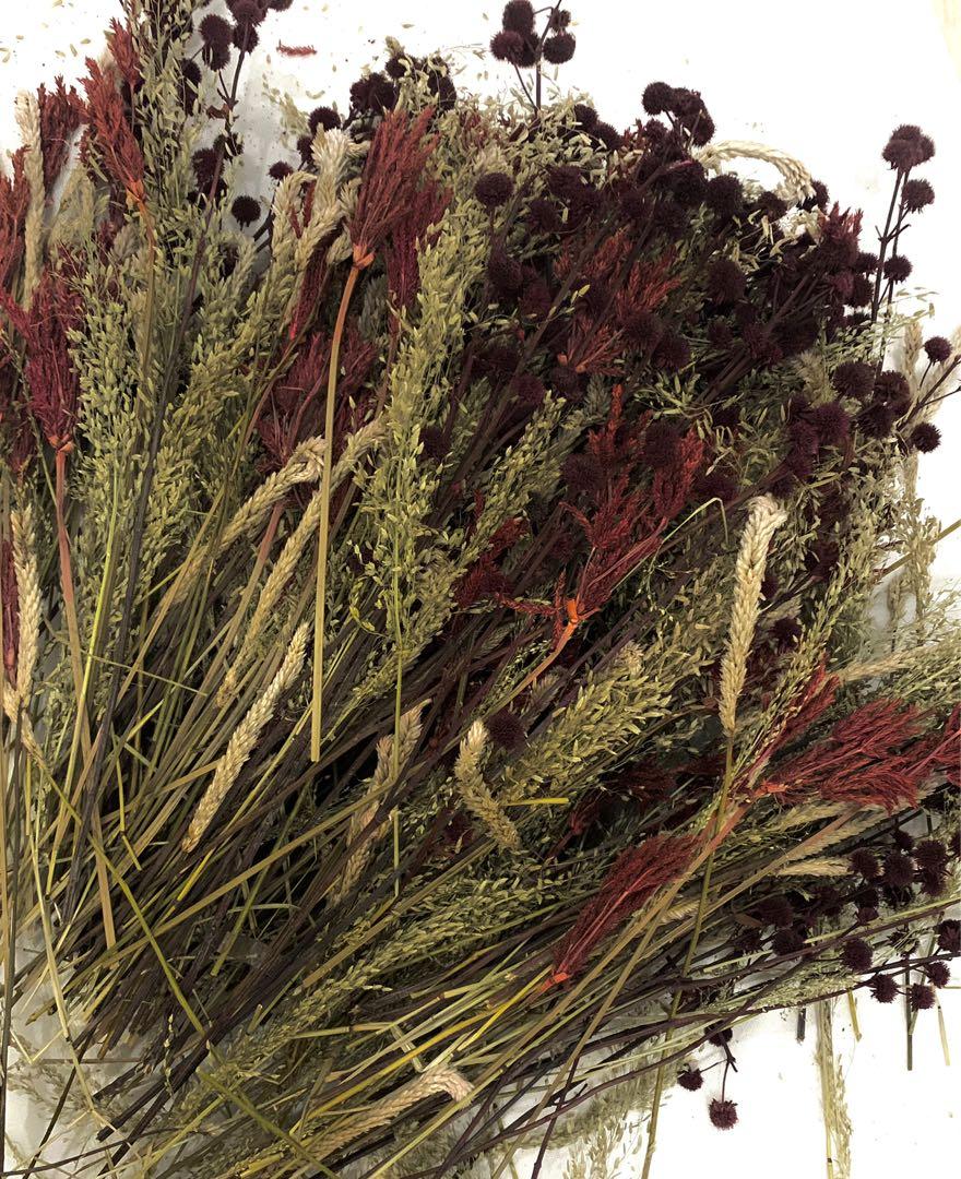 DRIED FLOWERS SET (from Dangwa), Hobbies & Toys, Stationary & Craft