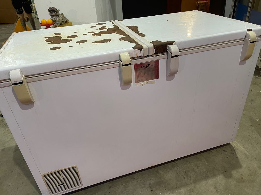 Extra large commercial chest freezer fully working, TV & Home