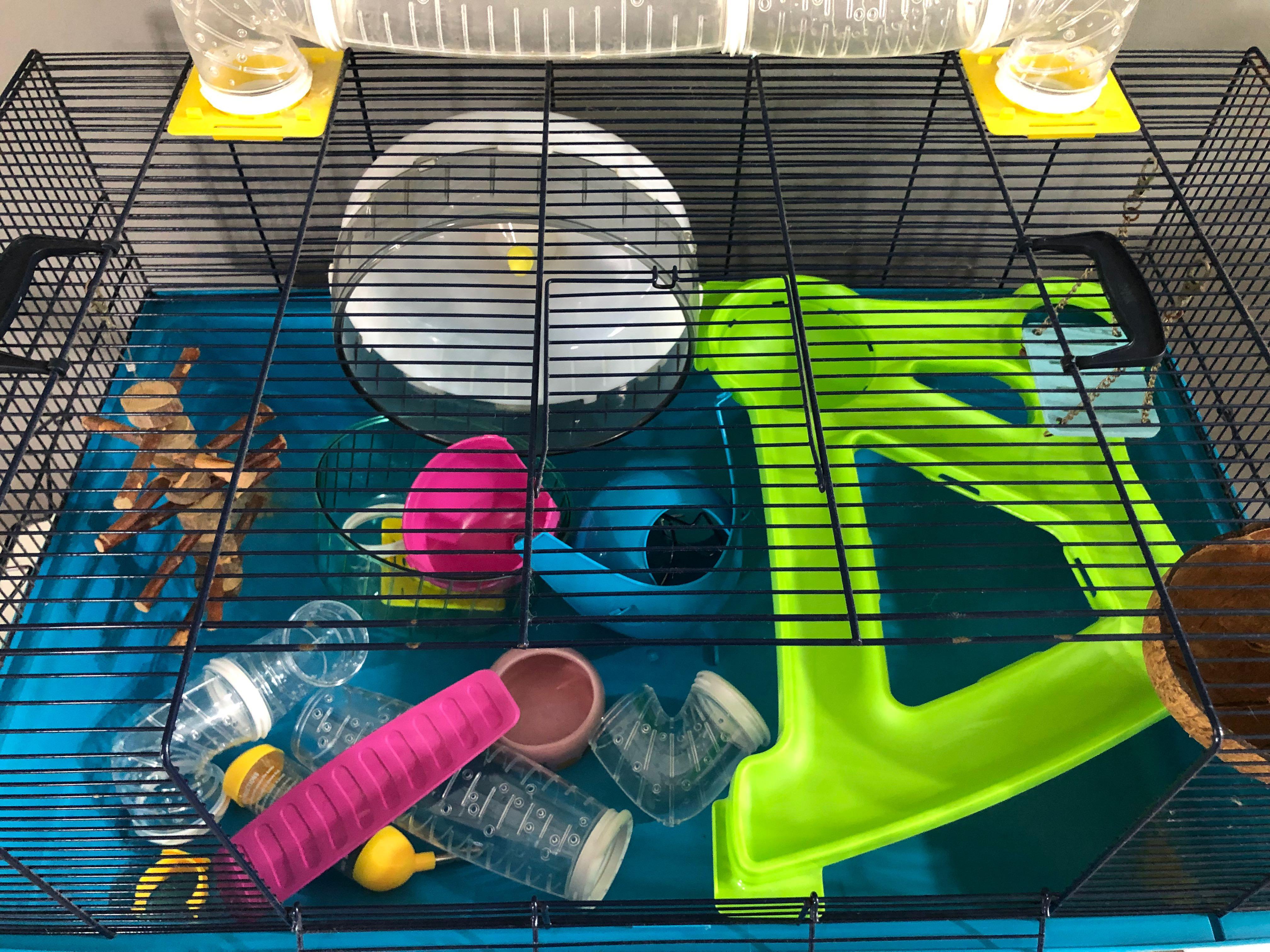 Hamster sky metro outlet