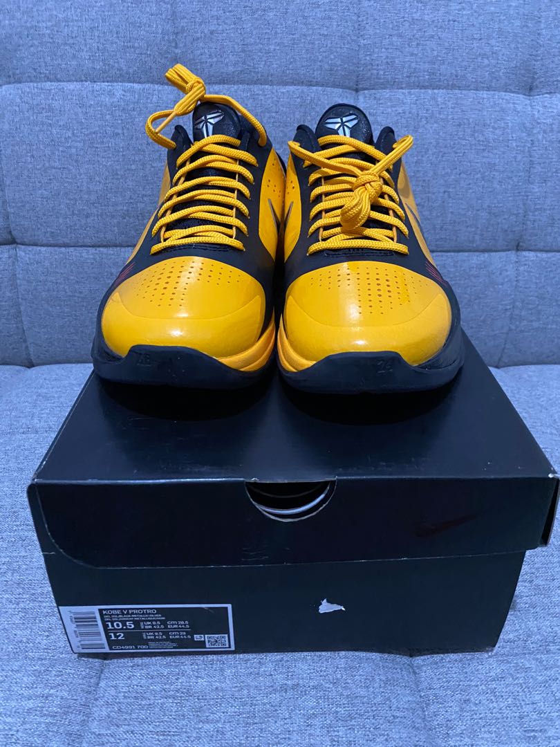 bruce lee protro