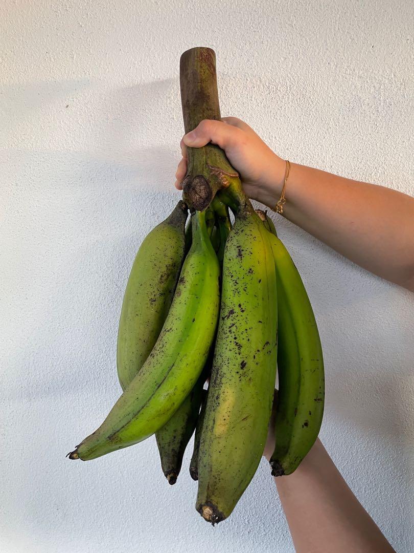 jenis pisang tanduk