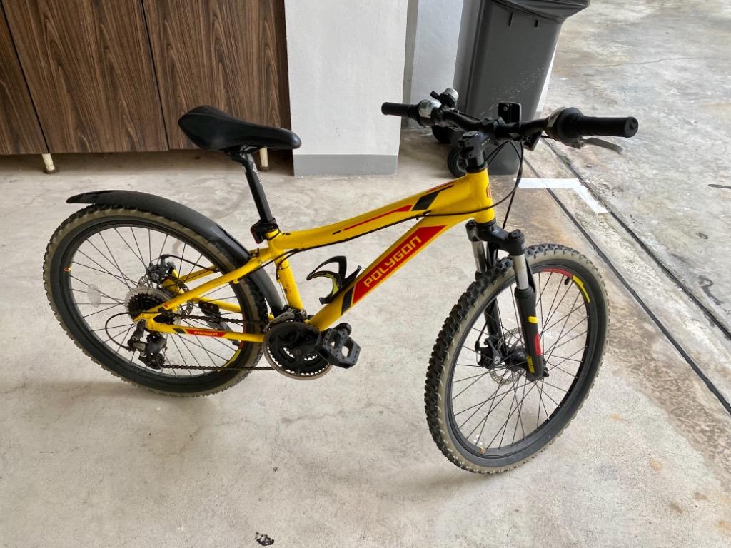 Polygon relic hotsell 24 evo