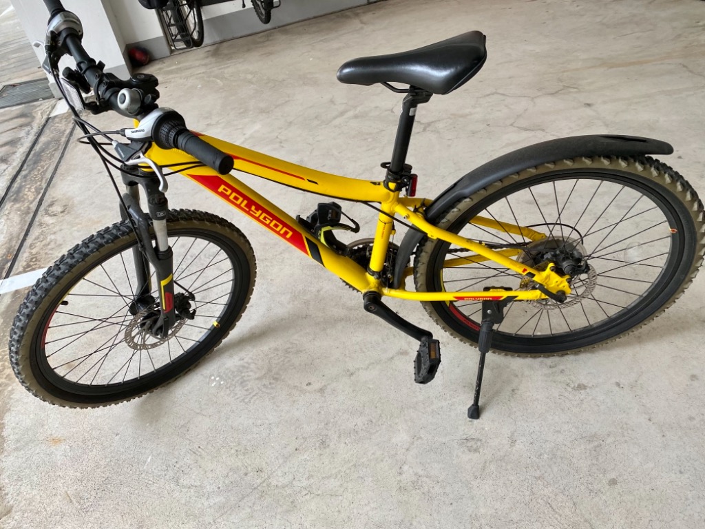 Polygon relic evo hotsell
