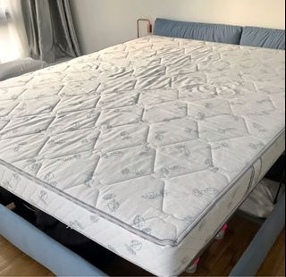 (Category: ) located in . Submitted by singa2020 (Listing ID 1108801213, Image 1). Description: .