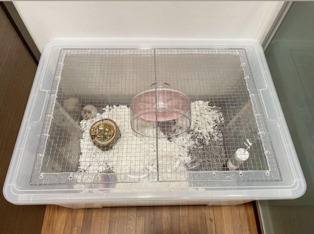 Samla bin cage new arrivals