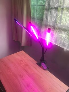 (Category: ) located in . Submitted by lisbonlights (Listing ID 1108929001, Image 1). Description: .
