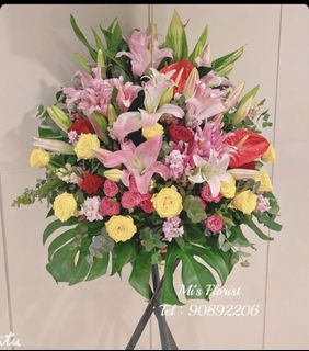 （分類：）位於 。 由 mikeegarden 提交（商品編號 1108935081，圖片 1）。簡介： 。