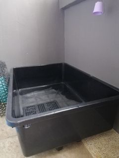 (Category: ) located in . Submitted by lynlim2020 (Listing ID 1109038116, Image 1). Description: .