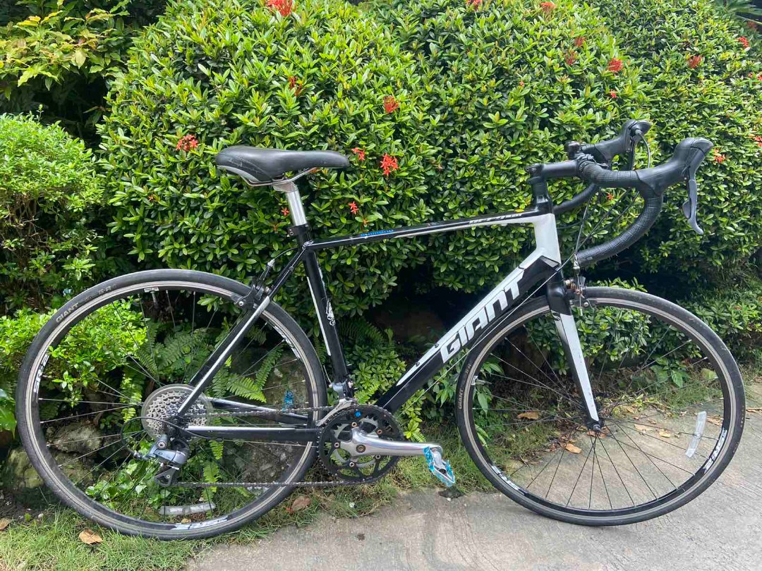 Giant Defy road bike , Claris gs, Sports Equipment, Bicycles