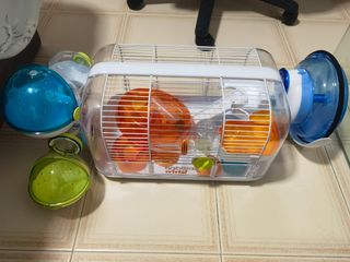 (Category: ) located in . Submitted by wjservice (Listing ID 1109122516, Image 1). Description: .