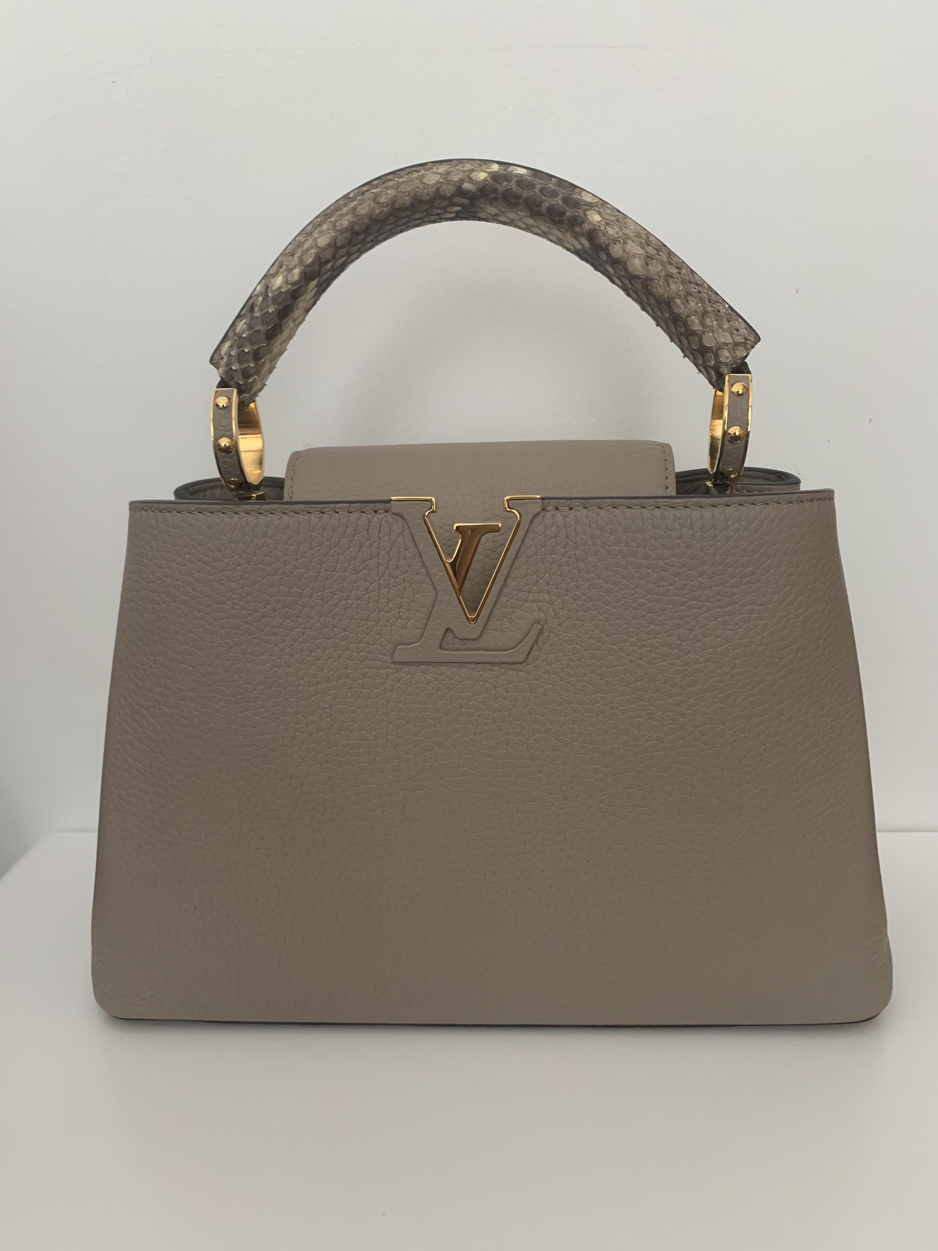 Louis Vuitton Capucines BB Galet Grey Python Leather Handle