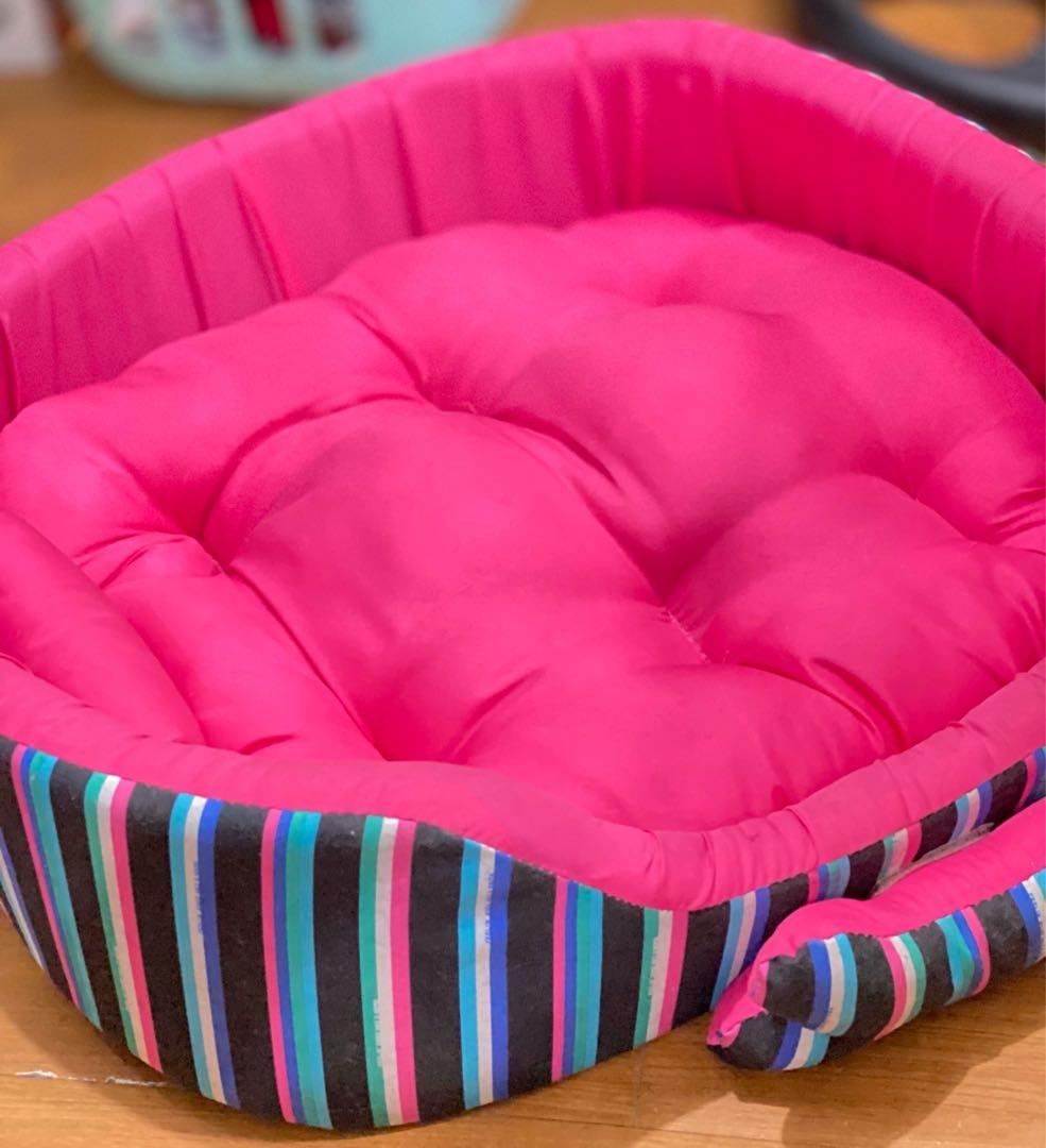 dog bed olx