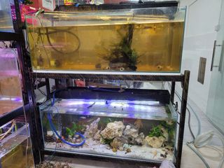 (Category: ) located in . Submitted by joshsim (Listing ID 1109329578, Image 1). Description: .