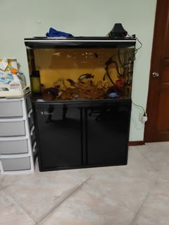 (Category: ) located in . Submitted by ringzzzz (Listing ID 1109316169, Image 1). Description: .