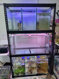 (Category: ) located in . Submitted by joshsim (Listing ID 1109330171, Image 1). Description: .