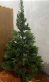 (Category: ) located in . Submitted by mary_malcolm (Listing ID 1100265033, Image 1). Description: .