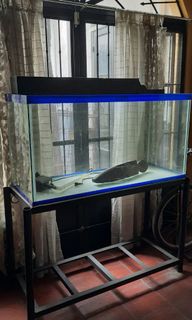 (Category: ) located in . Submitted by gman53 (Listing ID 1109329661, Image 1). Description: .