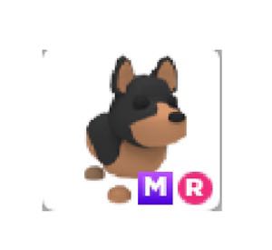 Adopt me mega ride Australian kelpie, Video Gaming, Gaming Accessories ...