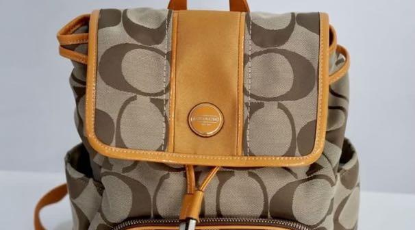 Coach Backpack Authentic From Japan Soft Canvas Rucksack with Signature Stripe Logo F21928