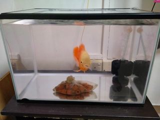 (Category: ) located in . Submitted by shanmuk9 (Listing ID 1109312030, Image 1). Description: .