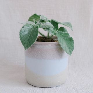 (Category: ) located in . Submitted by komo.pots (Listing ID 1109246854, Image 1). Description: .