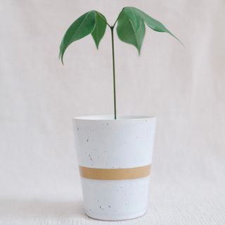 (Category: ) located in . Submitted by komo.pots (Listing ID 1109244641, Image 1). Description: .