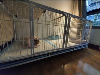 (Category: ) located in . Submitted by mums.precioussg (Listing ID 1109143009, Image 1). Description: .