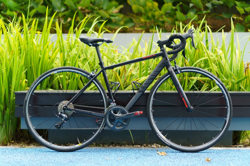 Canyon endurace al 2016 store