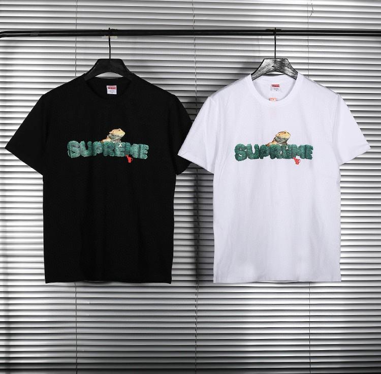 Supreme 20SS Lizard Tee 胸前蜥蜴綠植logo短袖T恤, 男裝, 外套及戶外