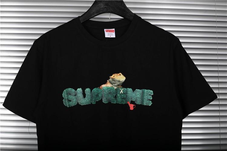 Supreme 20SS Lizard Tee 胸前蜥蜴綠植logo短袖T恤, 男裝, 外套及戶外