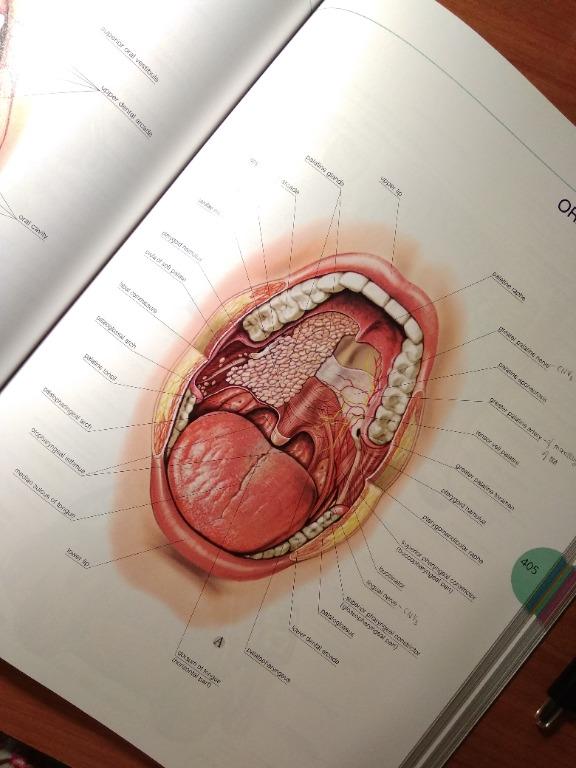 Atlas of Human Anatomy, Hobbies & Toys, Books & Magazines ...