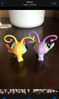 (Category: ) located in . Submitted by vanessadamiani14 (Listing ID 1109490641, Image 1). Description: .