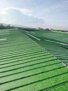 eco grass ，mighty nano eco grass ，scafolding  ，roofing ，yero ，rybtype ，longspan ， corugated sheet