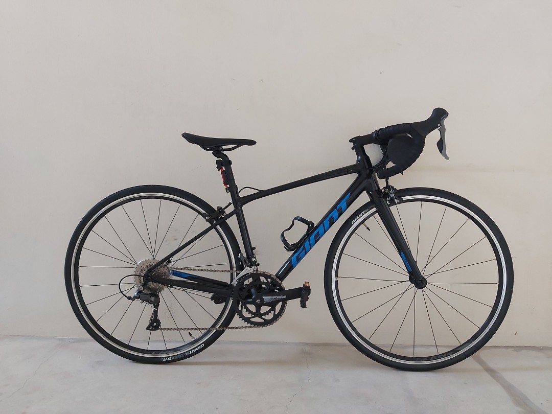 Giant contend xs clearance