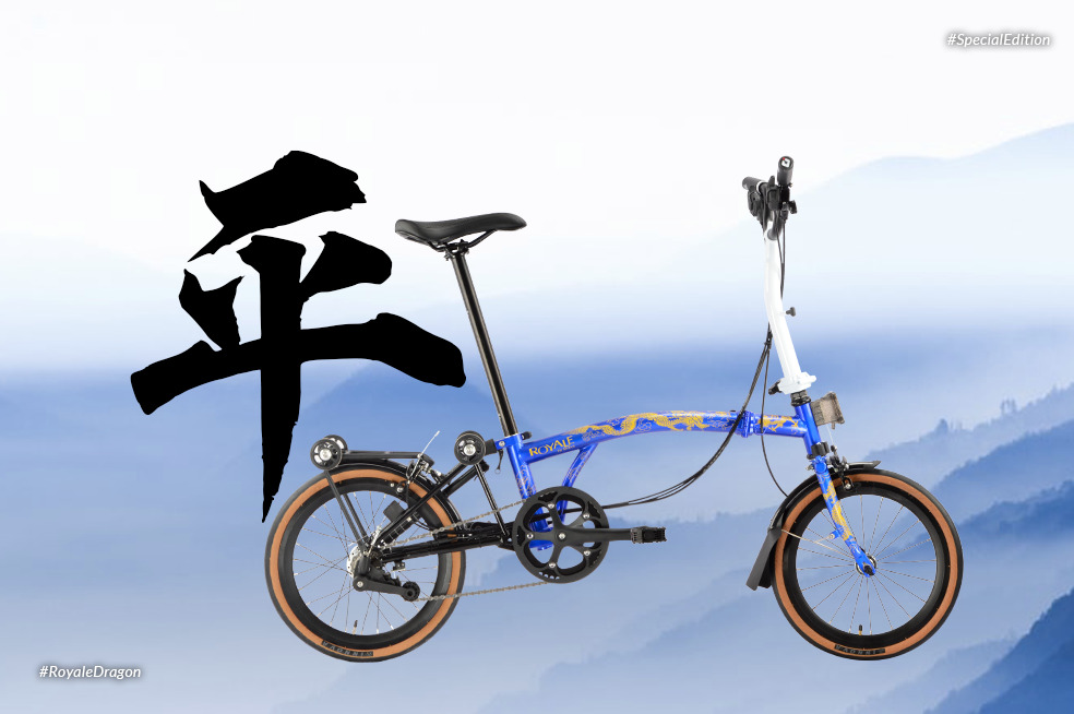 Dragon folding bike hot sale