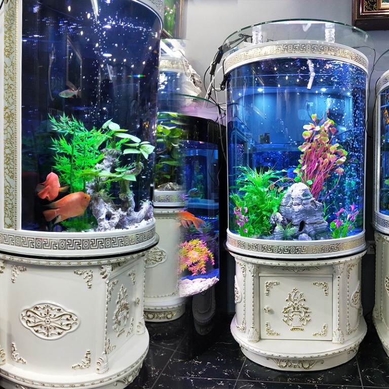 Circular fish tank store