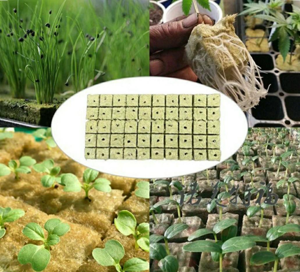 200pcs Rockwool Starters for Hydroponics Soiless Cultivation Microgreen