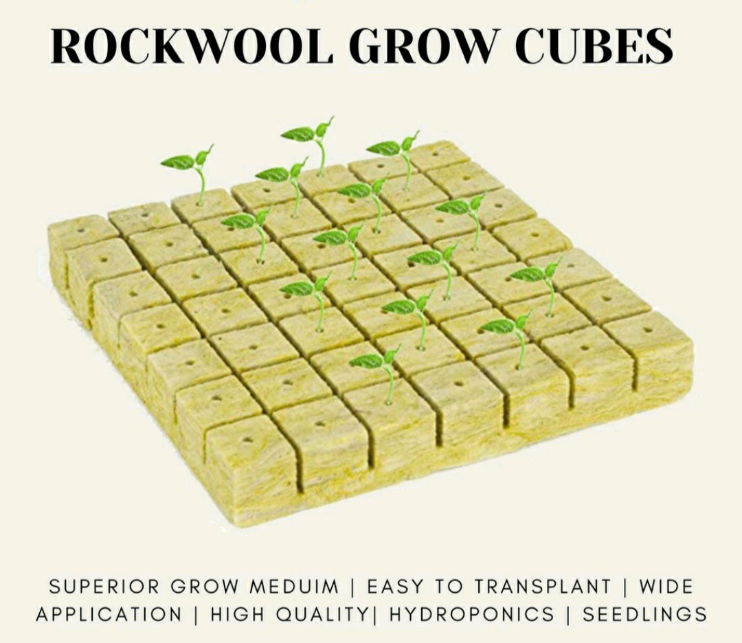 200pcs Rockwool Starters for Hydroponics Soiless Cultivation Microgreen