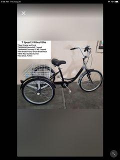 Adult Heavy Duty Three 3 Tri wheel bike tribike bicycle 7 speed Shimano trike 24er not bridgestone charlie schwinn