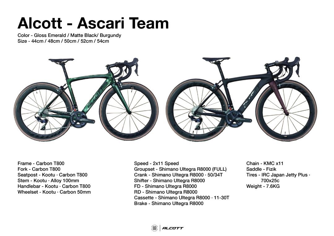 Alcott store ascari price